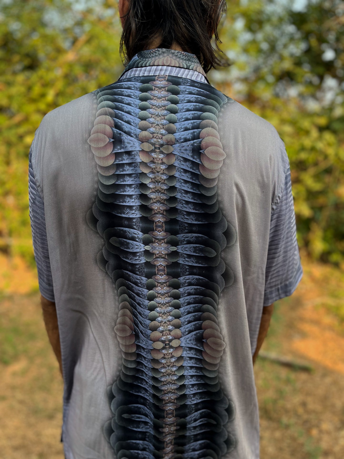 Vertebrate